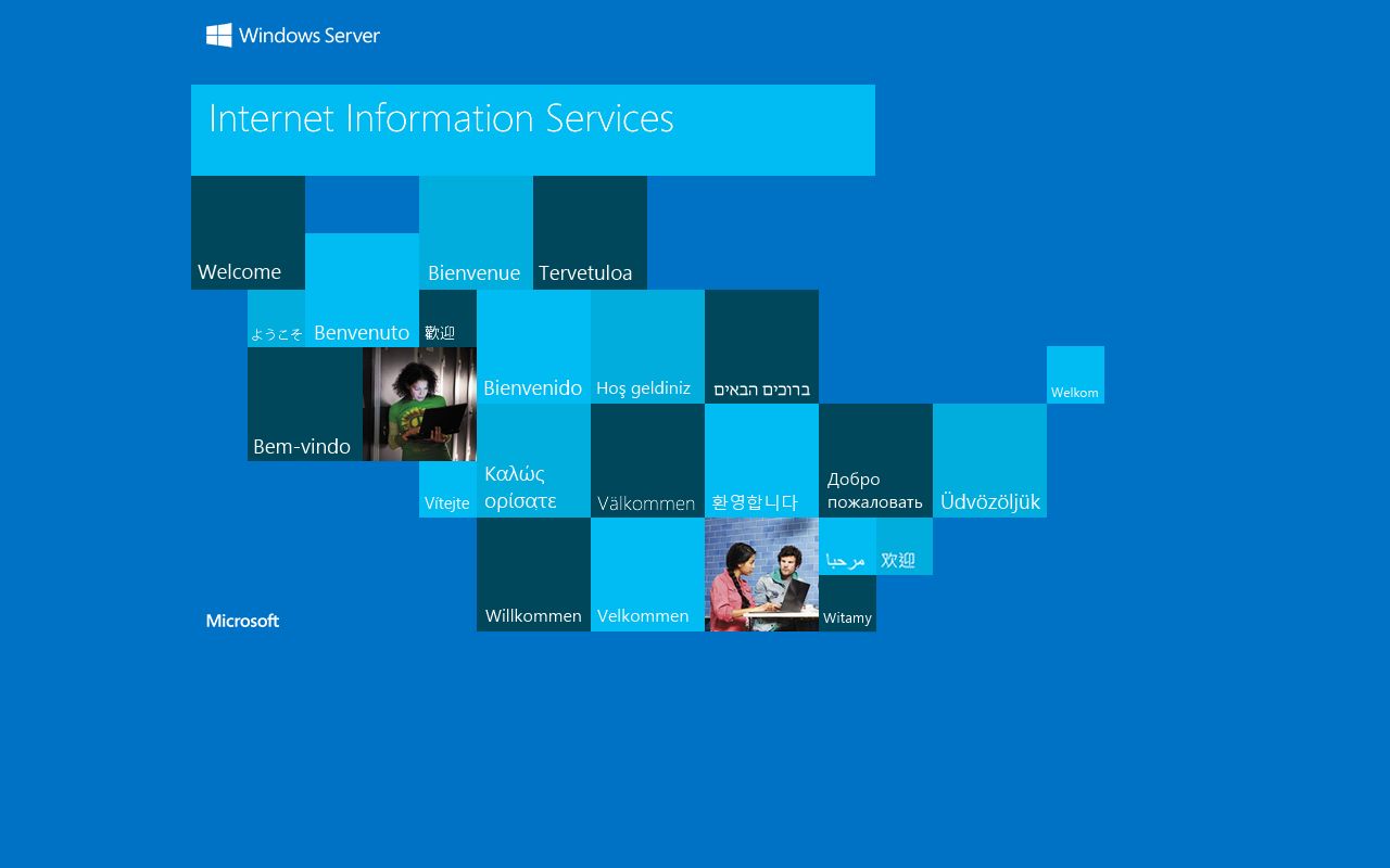 Wayne County inmate population inmate inquiry
